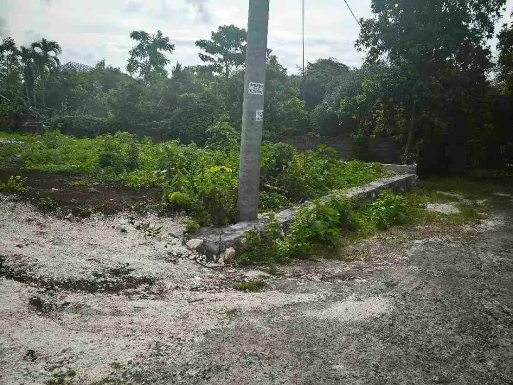 dijual tanah 129m² dikampus unud jimbaran Kuta Selatan Badung Bali