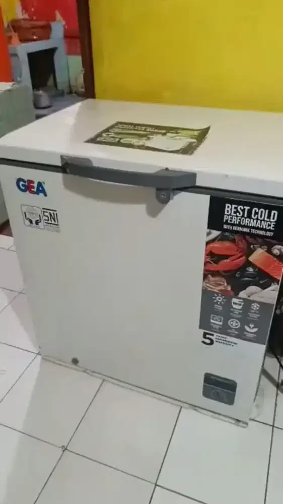 Freezer box gea 220 liter