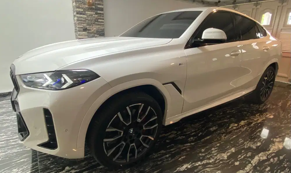 BMW X6 2023 Bensin