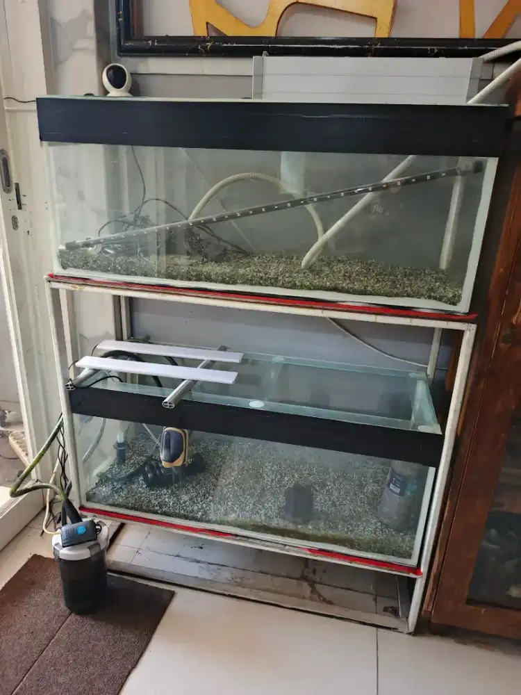 Aquarium Ikan (Komplit)