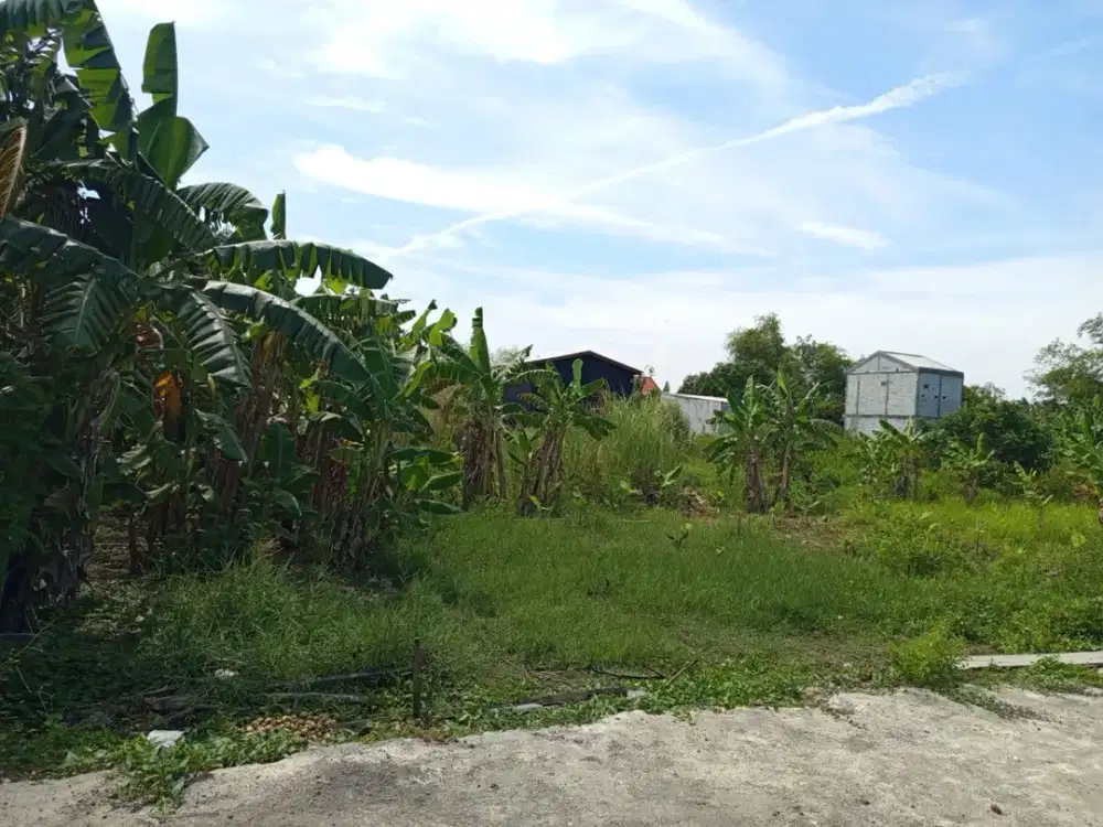 BEST INVESTMENT! DIJUAL MURAH TANAH CANDI SIDOARJO SIAP BANGUN