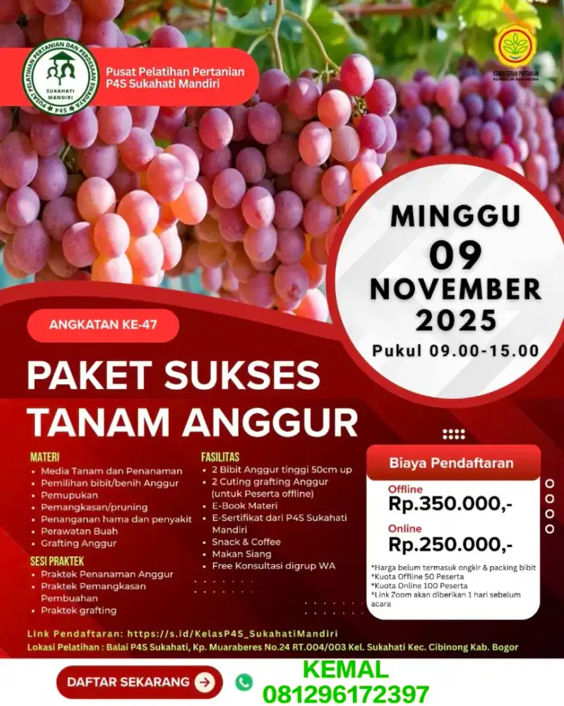 Bimbingan Teknis Anggur Impor Ang. Ke 43