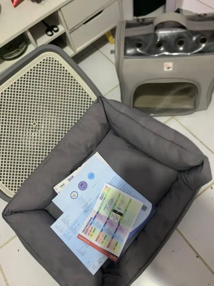 Kasur dan tas anabul