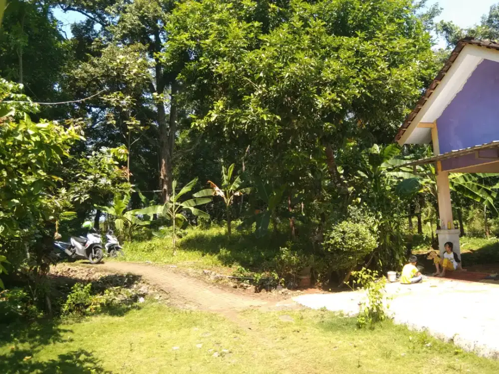 Tanah 7 menit dari UNNES