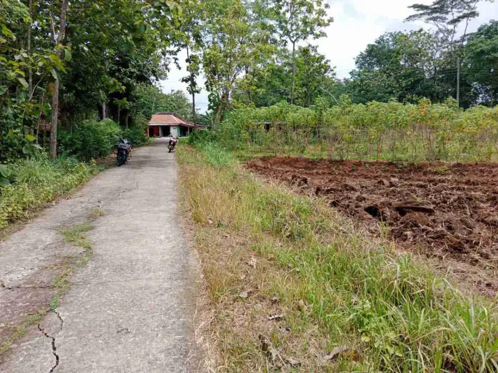 Tanah merah Tegal 1.200m² muka 45m jln 5m, 20m dari jalan raya sedayu, sedayu jumantono karanganyar