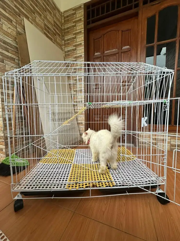 Kandang Second Kucing, Kandang Bekas Kucing Besar Kondisi Bagus