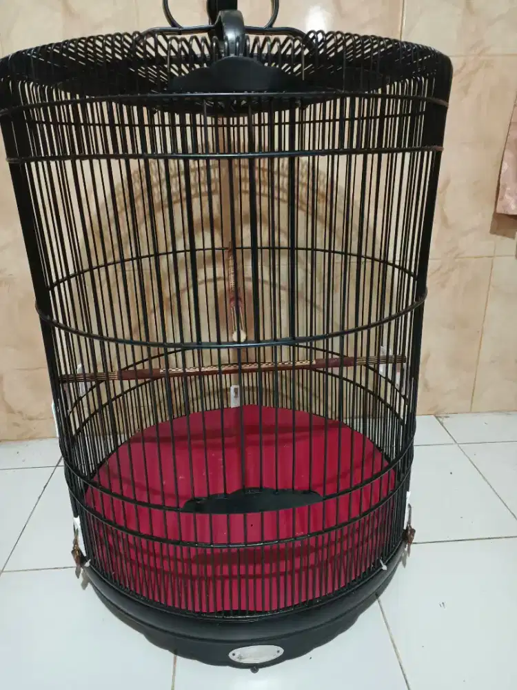 sangkar murai uk 55 mulus