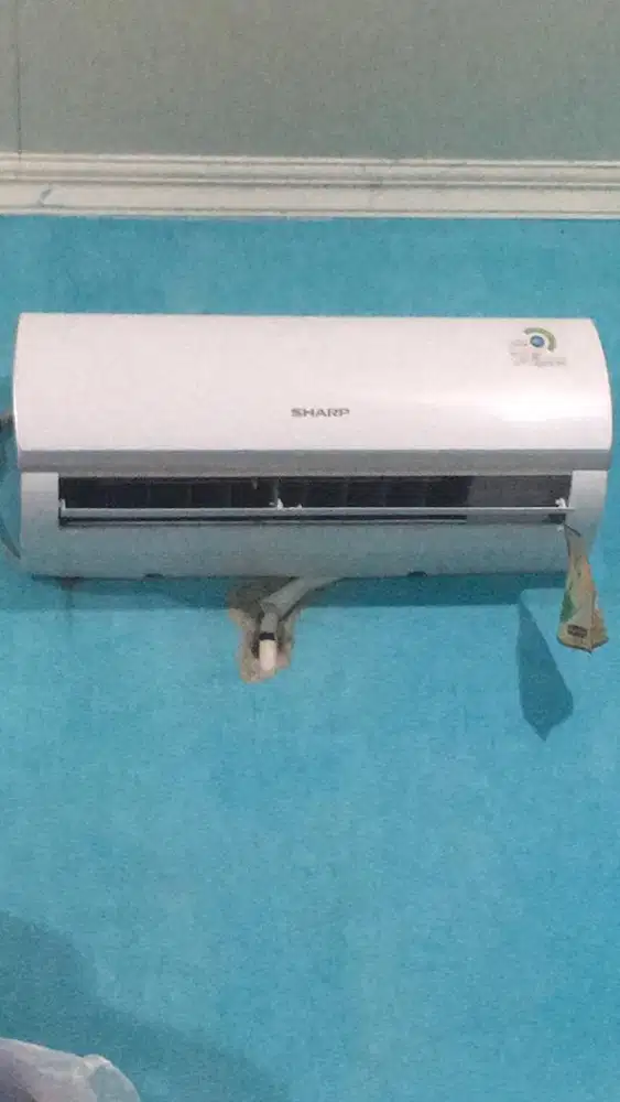 Ac Sharp 1/2 pk