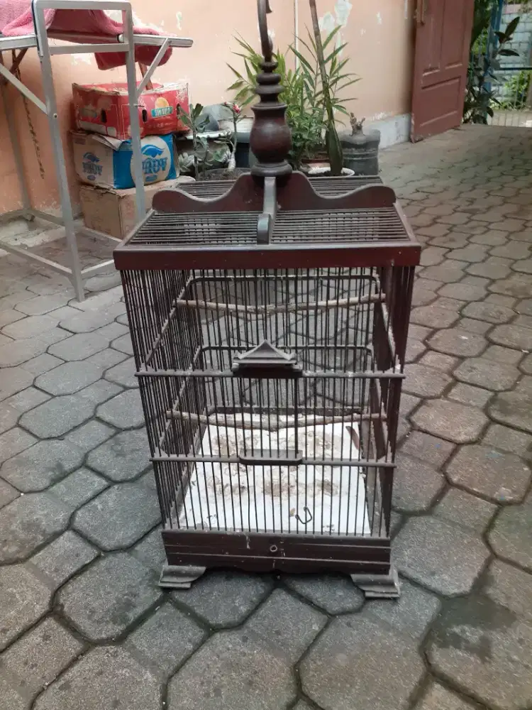 Sangkar Ciblek bekas