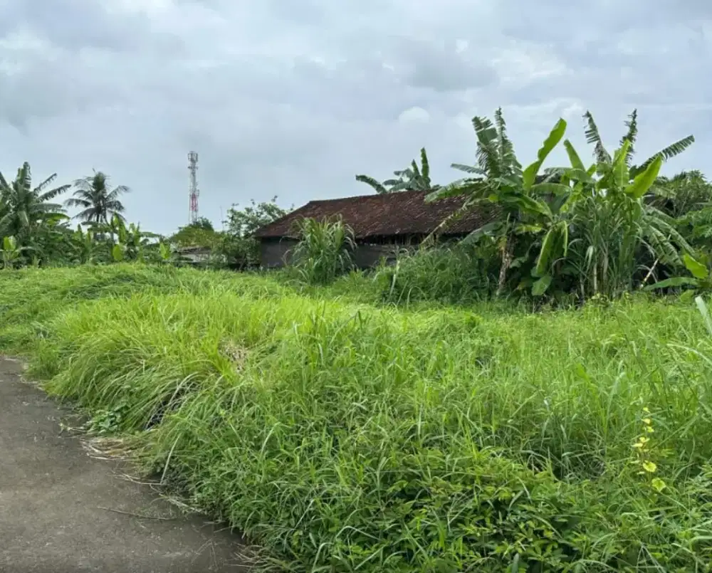 Tanah dijual cepat dan murah lokasi strtaegis di abianbase gianyar