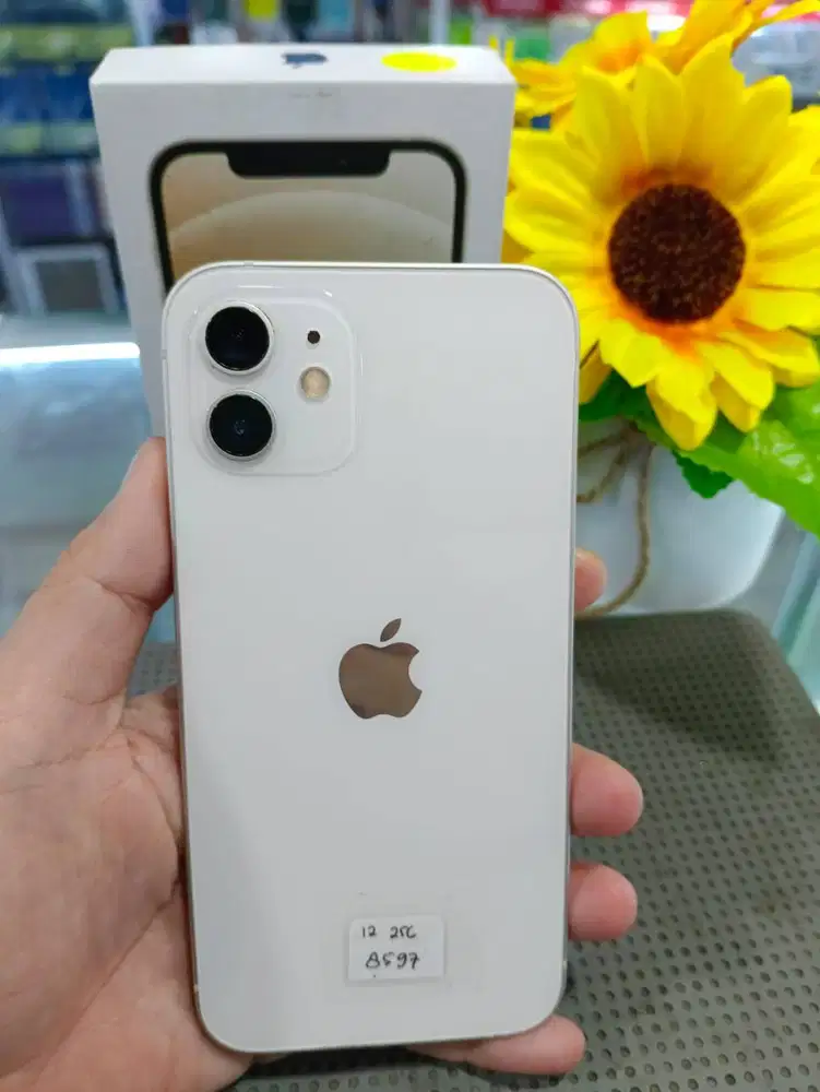 IPHONE 12 256GB SECOND INTER