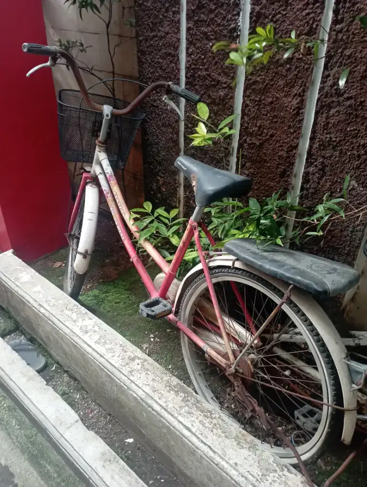 Jual 2 unit sepeda