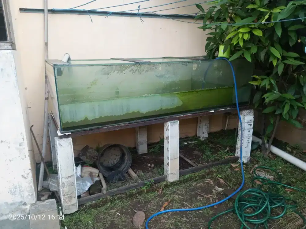 Aquarium ikan besar