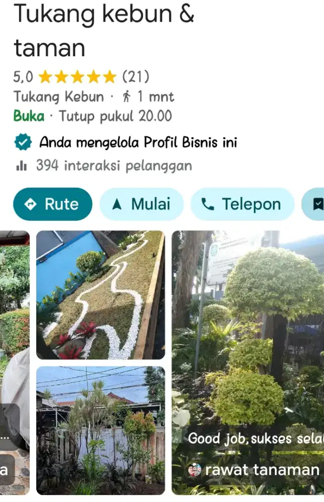 Jasa tukang taman rumah & kantor