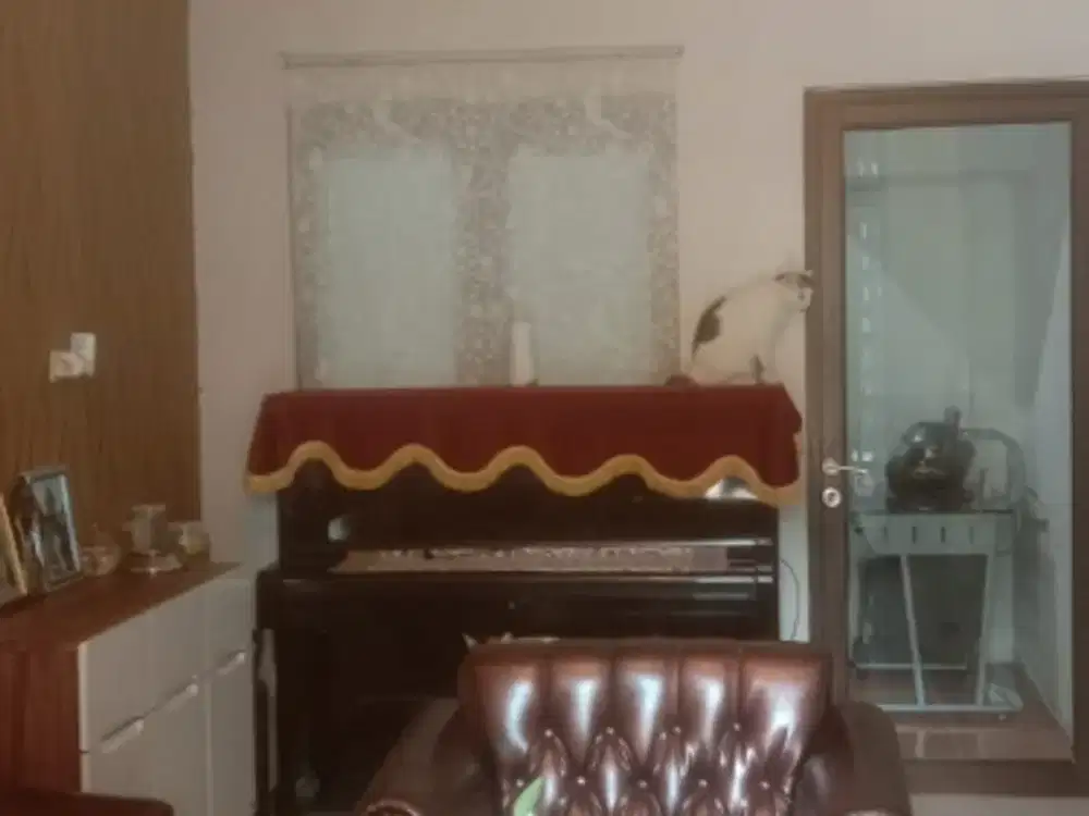 Dijual Rumah Dalam Cluster Dekat Stasiun Di Semplak Bogor Barat