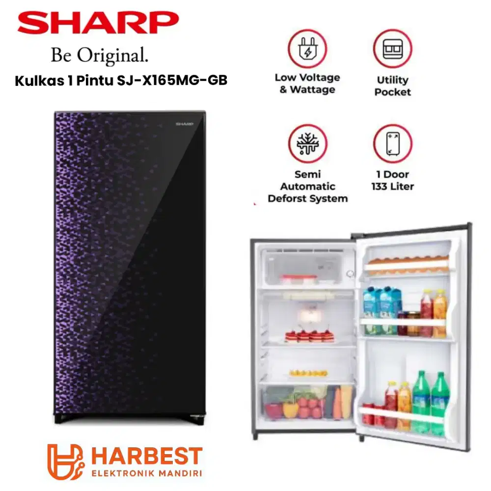 SHARP KULKAS 1 PINTU Low Voltage SJ-X165MG-GB Tempered Glass Pocket
