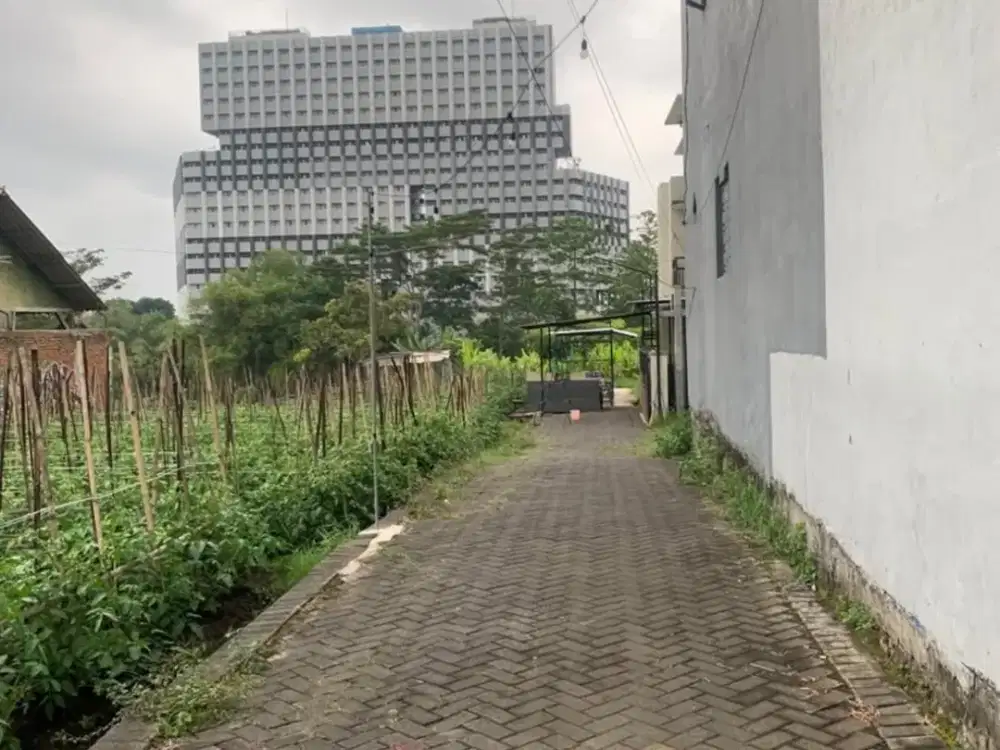 Tanah Kos saxophone Dekat kampus UMM