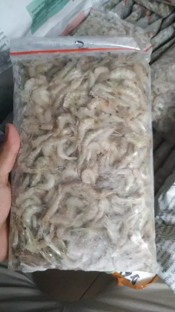 Udang api beku size S
