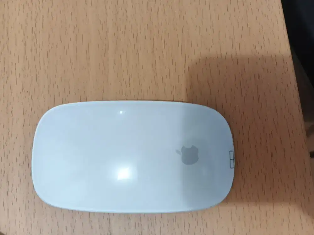 Apple magic mouse 2