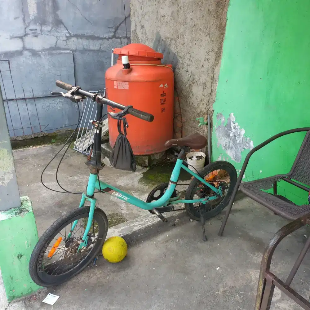 Jual sepeda minion exotic 9788