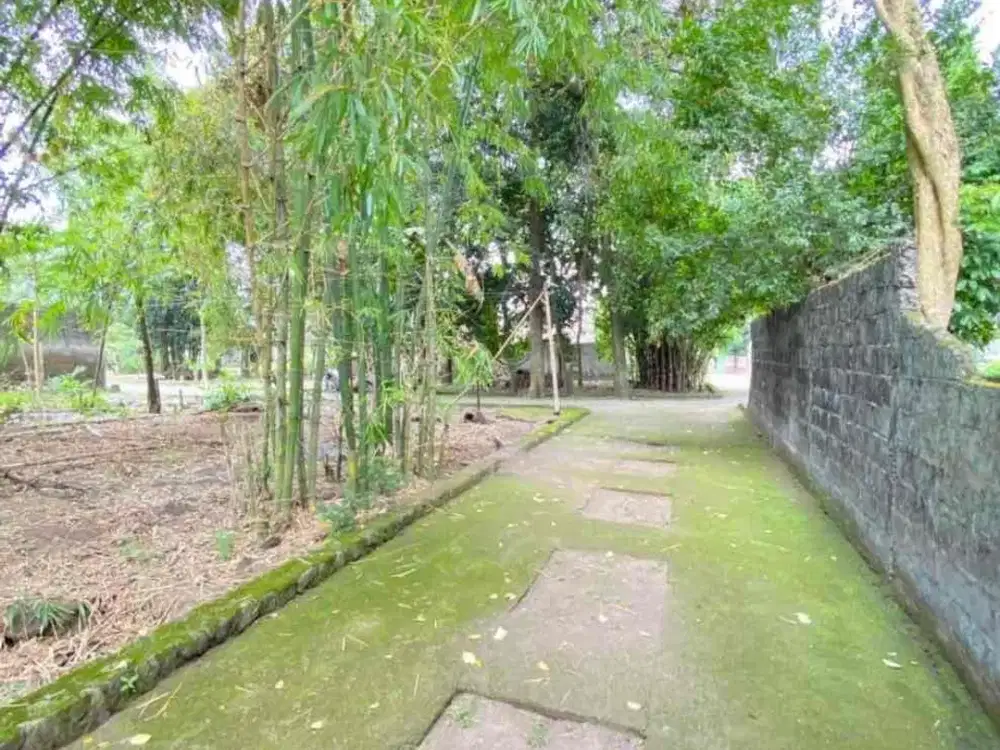 Dijual Tanah Pekarangan Murah di Sleman