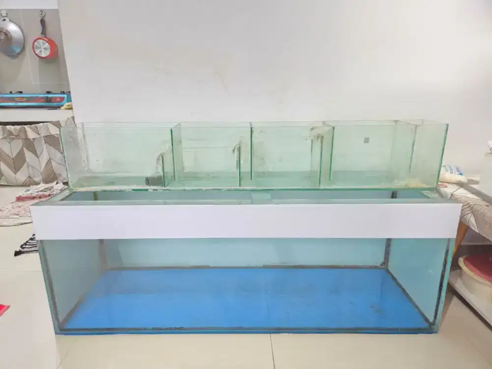 Aquarium 120x40x40