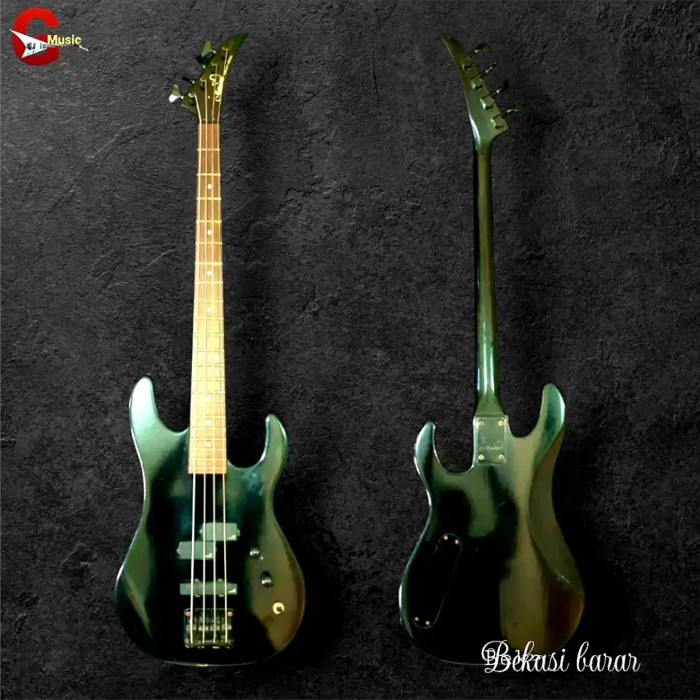 Bass Marina Concord Series