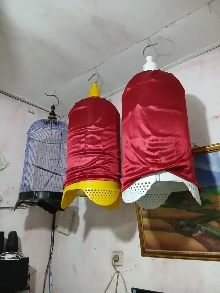 Kandang burung lovebird