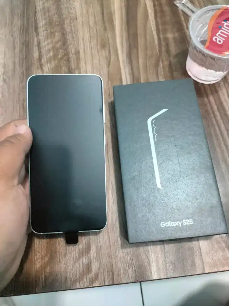 Samsung Galaxy S25 12/512GB