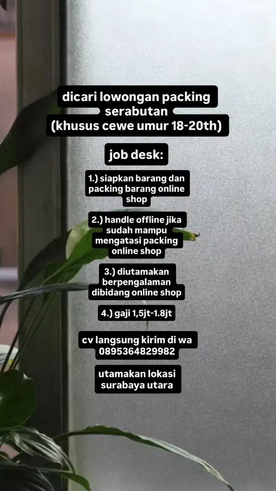 LOWONGAN PACKING ONLINE SHOP SERABUTAN