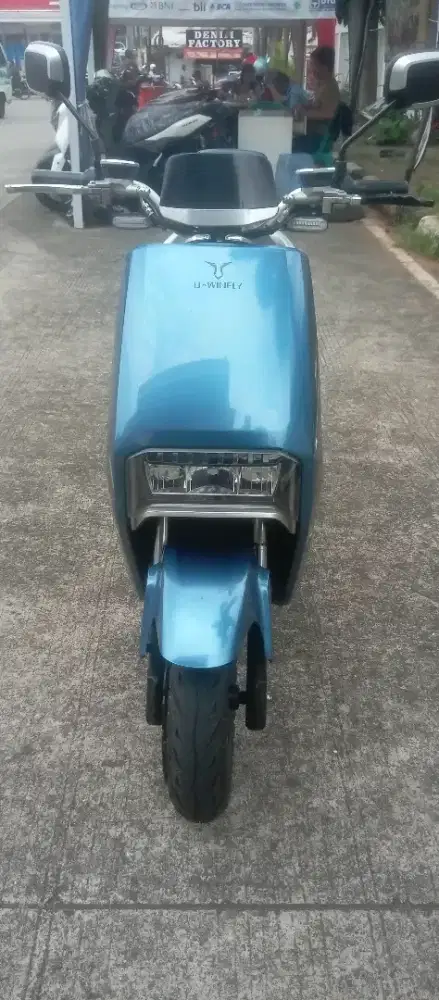 Selis bisa juga molis