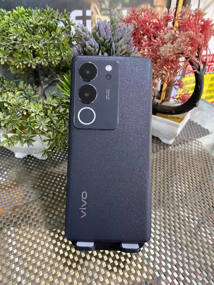 Vivo V29 5G 8/256