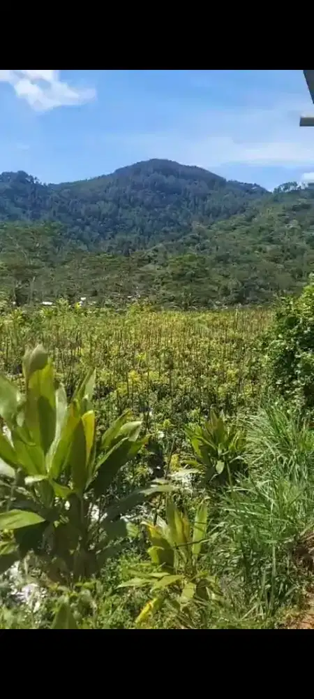 Dijual Tanah Strategis Pinggir Jalan