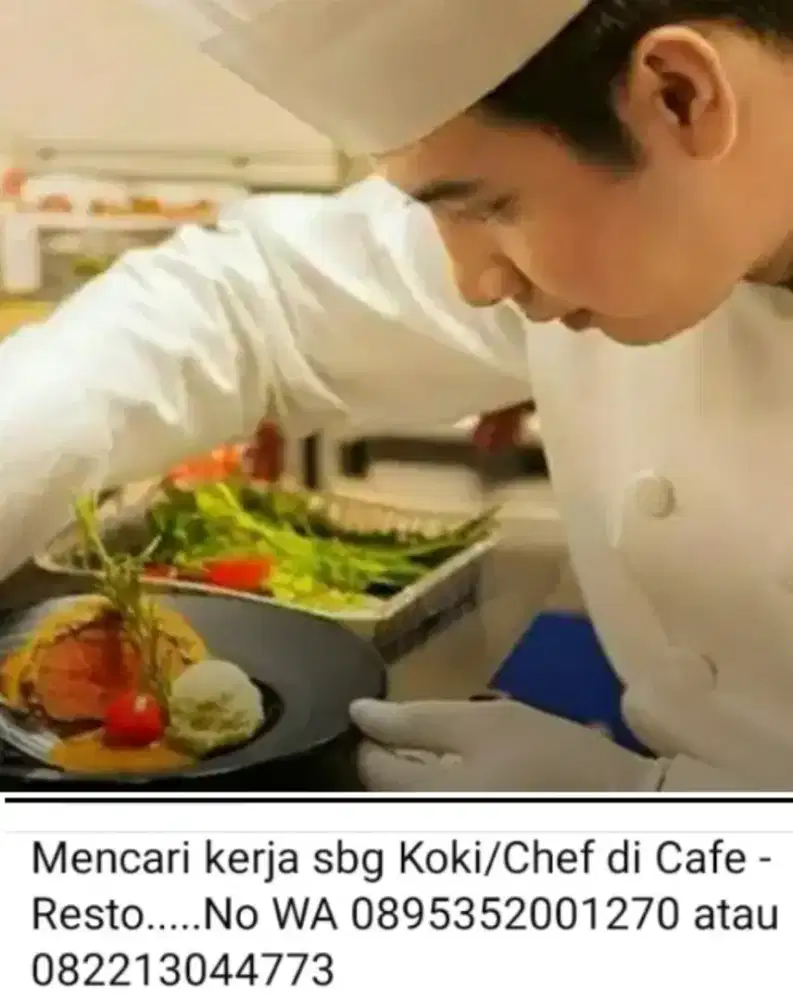 Saya cari kerja sebagai Koki/Chef