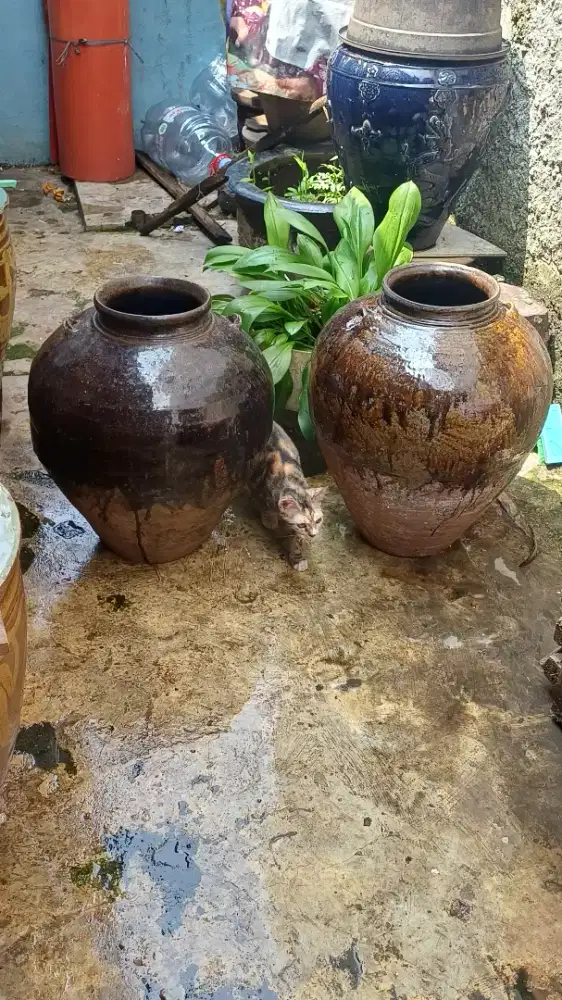 Dua buah guci glasir itam manggis dinasty song.