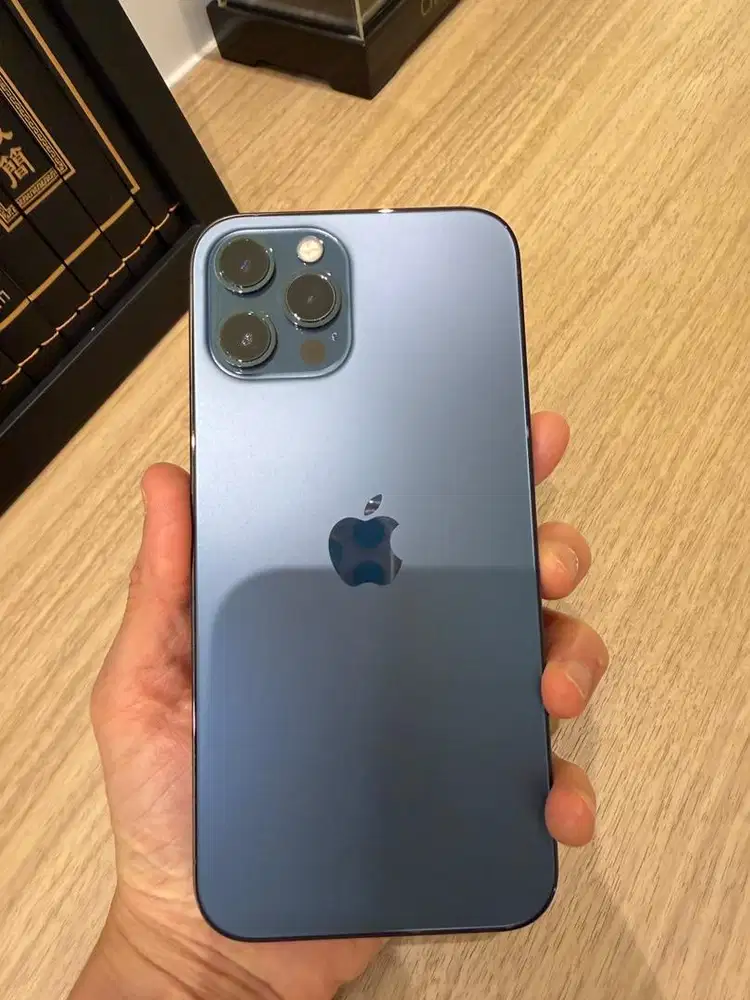 Jual Iphone 12 Pro Max 256 GB