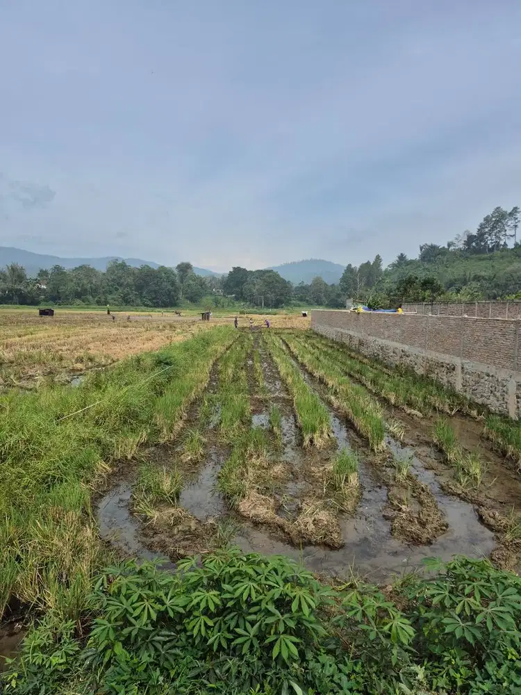Dijual Tanah Kosong Sipoholon