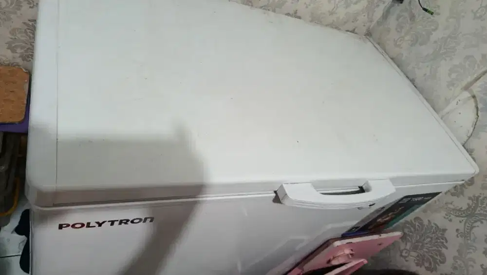 Frezzer polytron 300L