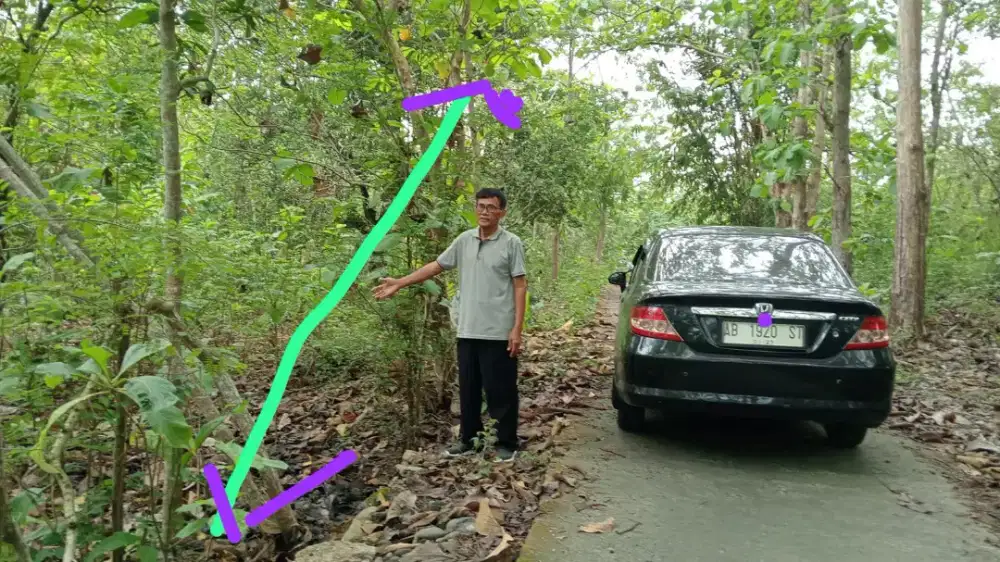 Tanah di kawasan industri Sntlo
