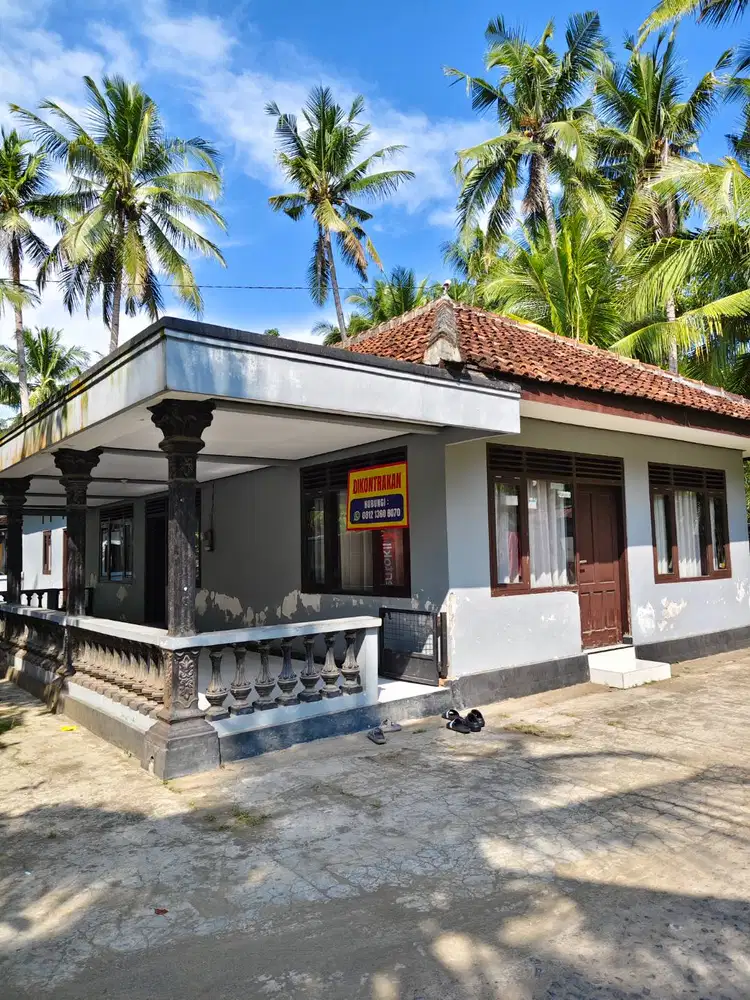 Disewakan rumah besar, suasana asri pedesaan, pinggir jalan besar.