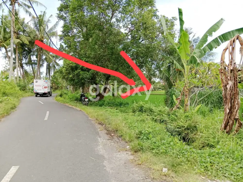 TANAH PERMATA PERING BLAHBATUH GIANYAR, BALI