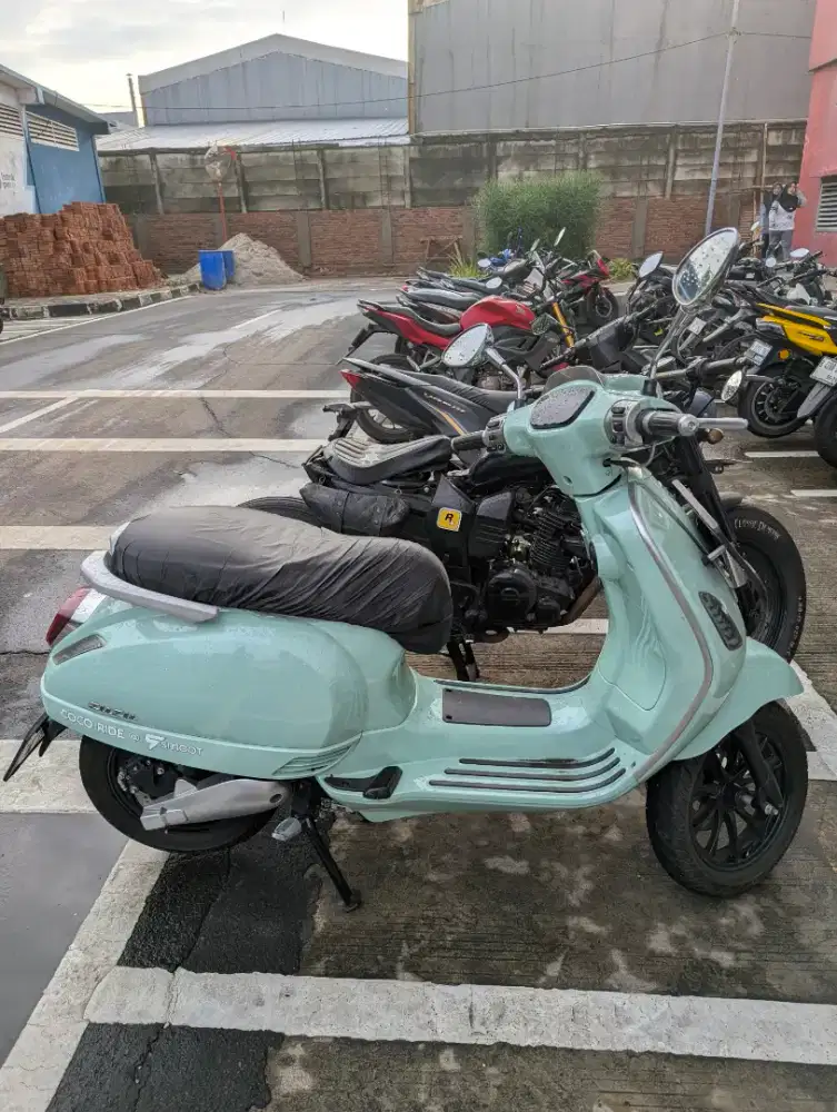 Smooth Zuzu 2024 ex cocoride