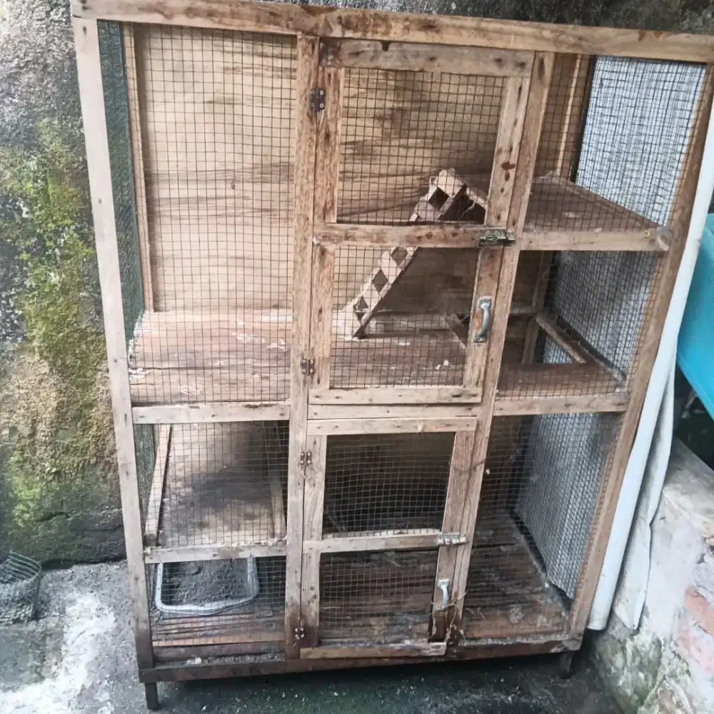 Kandang.kucing..dan kucing