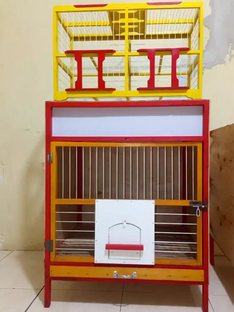 Jual dongdang dan kandang macan merpati