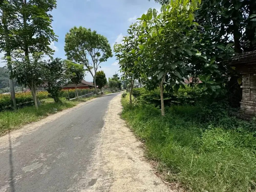 dijual tanah pinggir otya batu