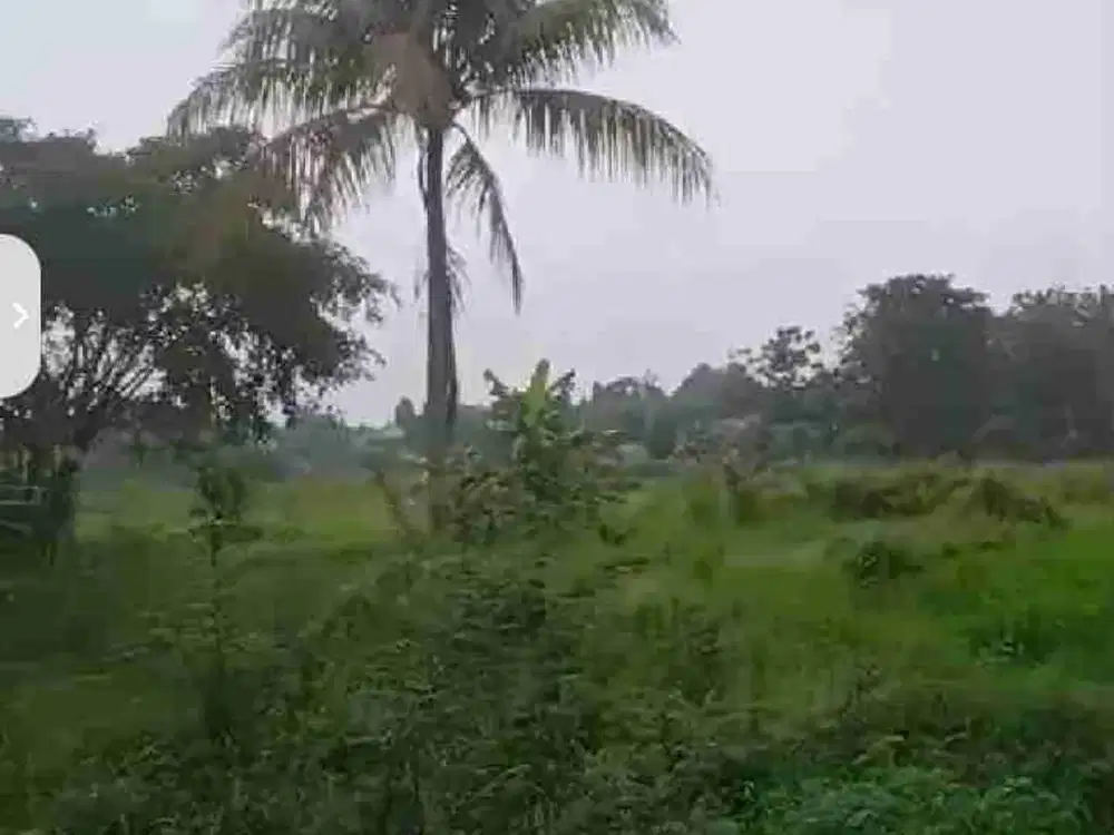 Dijual Cepat Tanah di Waru Jaya Parung Bogor
