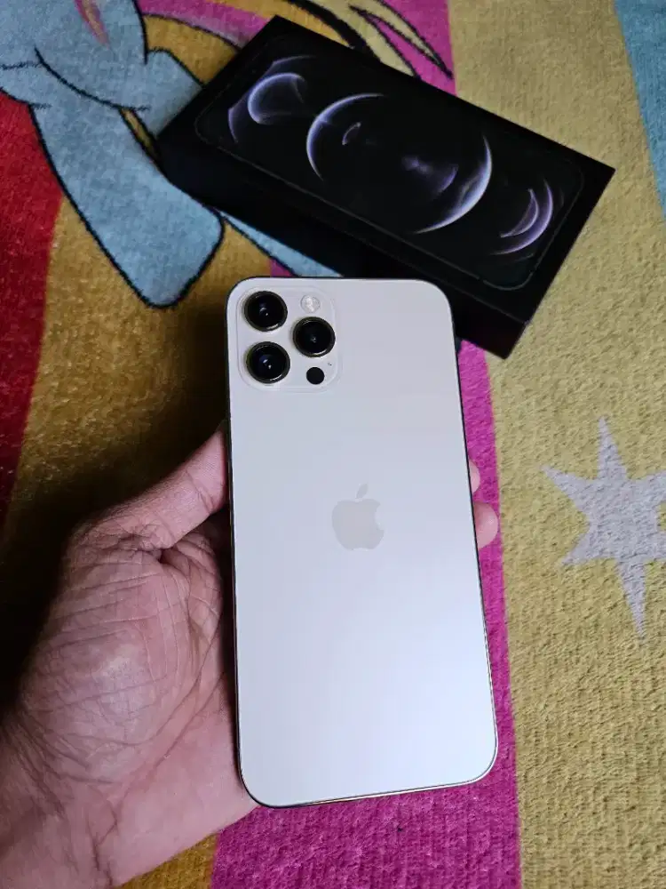 IPhone 12ProMax 256GB Murahh