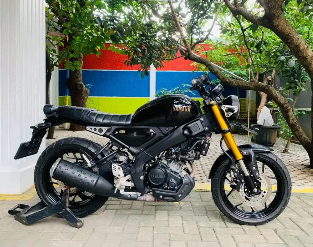 Yamaha XSR 155 2023