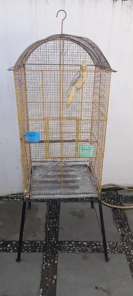Kandang Besi Kotak Kawat Ram dan isi