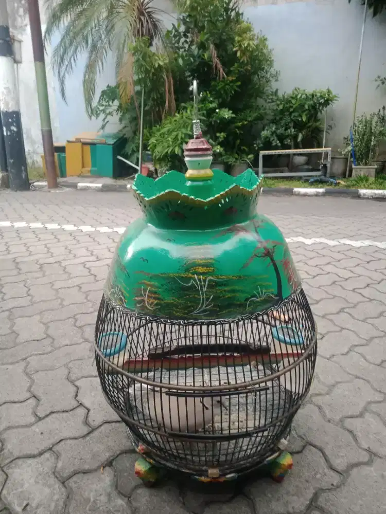 Derkuku bunyi terus ,ples sangkar